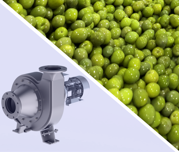 Hydraulic transport system for olive industry